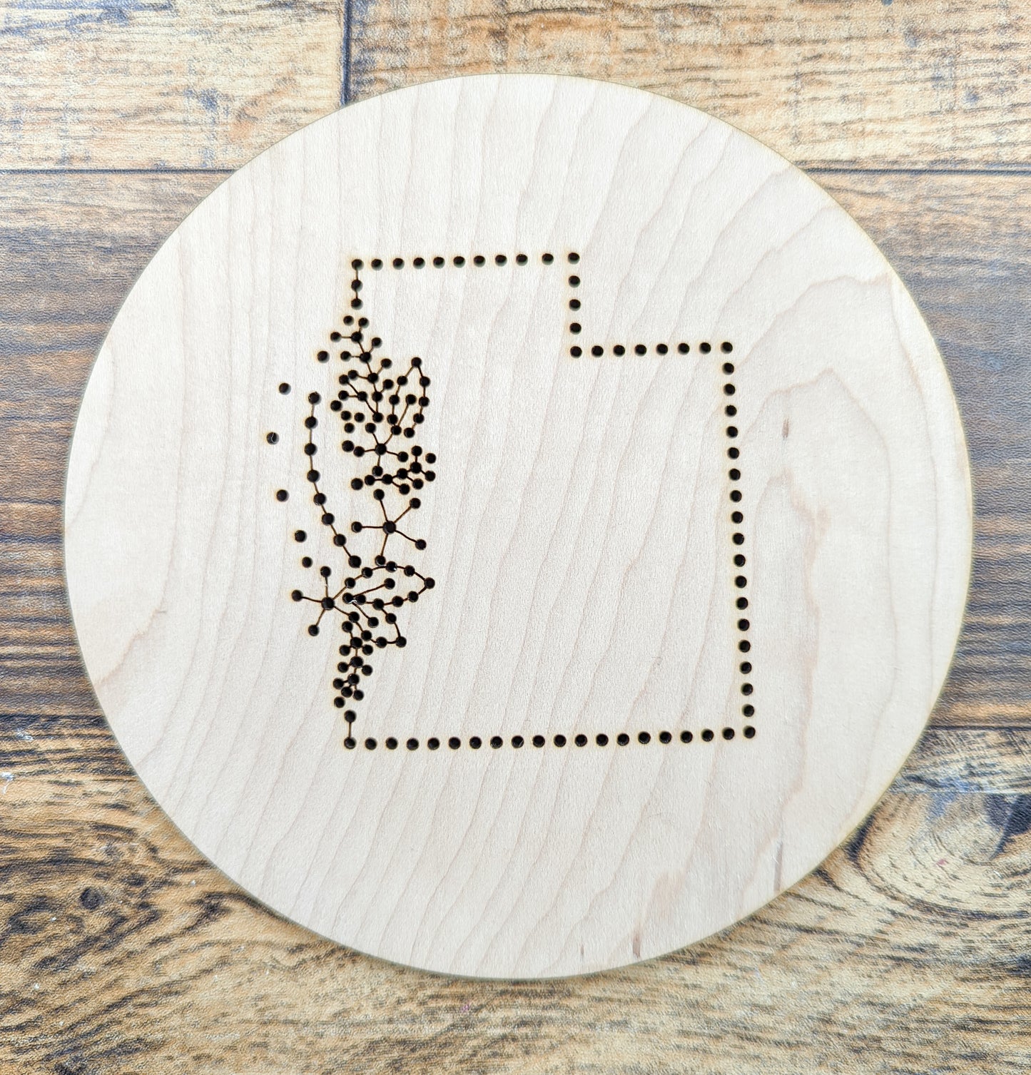Wood State Embroidery Circle Kit