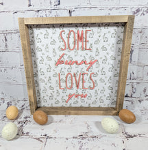 Load image into Gallery viewer, Some Bunny Loves You Acrylic Words Bunny Framed Easter Sign
