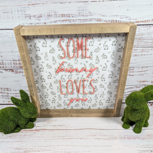 Some Bunny Loves You Acrylic Words Bunny Framed Easter Sign